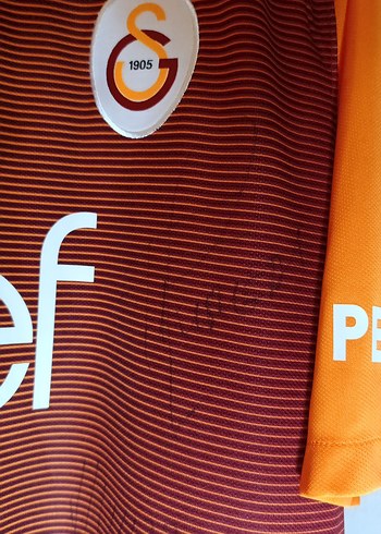 Erkek Kısa Kollu Galatasaray Forma - Görsel 5