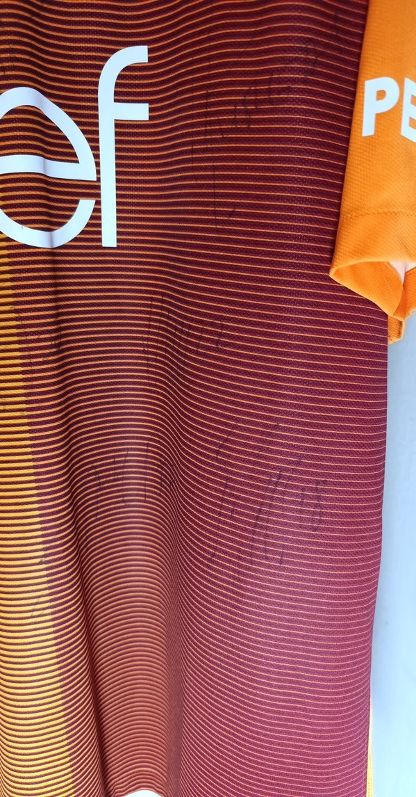 Erkek Kısa Kollu Galatasaray Forma - Görsel 4