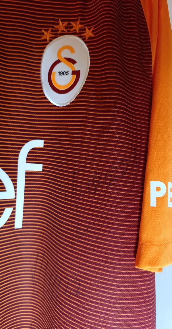 Erkek Kısa Kollu Galatasaray Forma - Görsel 5