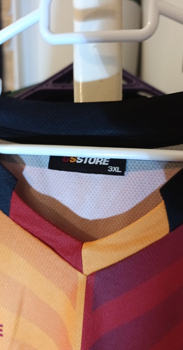 Galatasaray Baskılı Erkek Kolsuz Spor Forması - Görsel 3