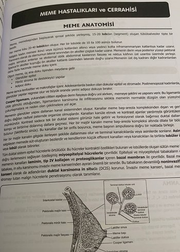 YDUS Genel Cerrahi Konu Kitabı - Görsel 4