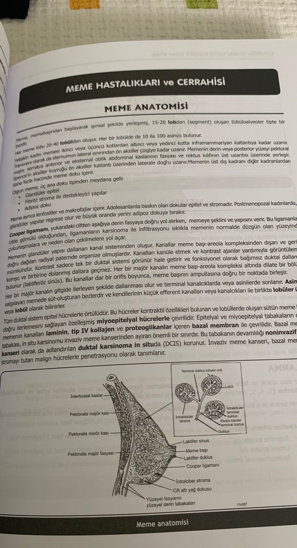 YDUS Genel Cerrahi Konu Kitabı - Görsel 4