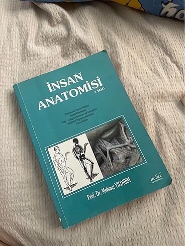 İnsan anatomisi