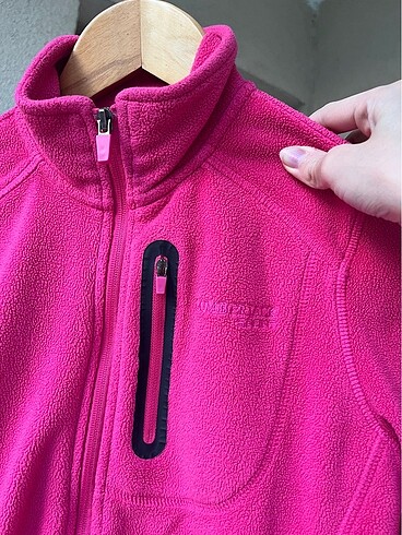 pembe polar