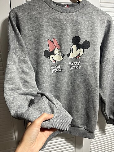 Walt Disney World Gri sweatshirt