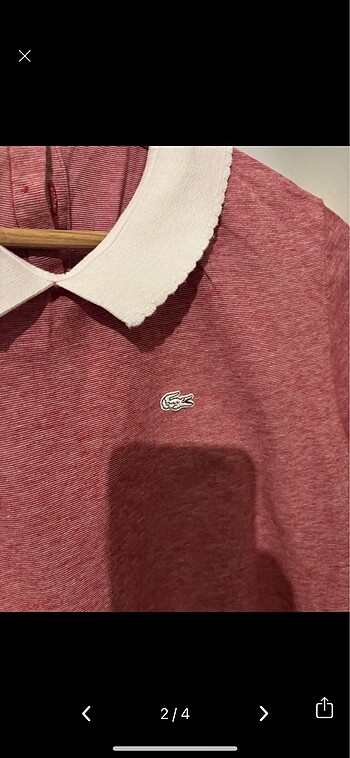 Lacoste Lacoste tşört