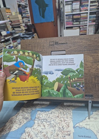 DÖRT ELEMENT SU - YAĞMURLA TAŞAN NEHİR - Görsel 2