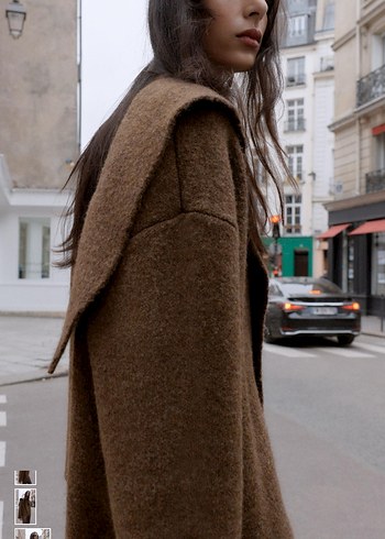 Kahverengi Parlak Yün Kadın ceket - Görsel 5