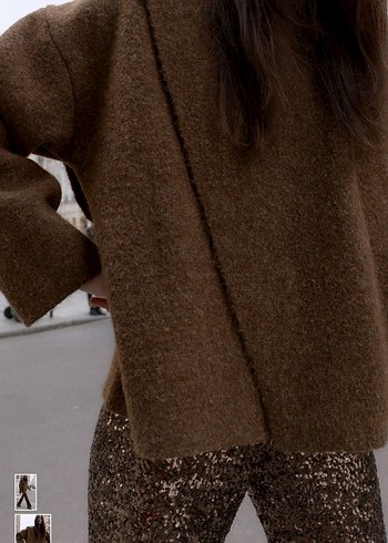 Kahverengi Parlak Yün Kadın ceket - Görsel 2