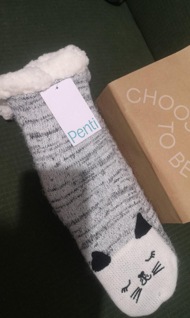 Penti Ev Çorabı - Görsel 4