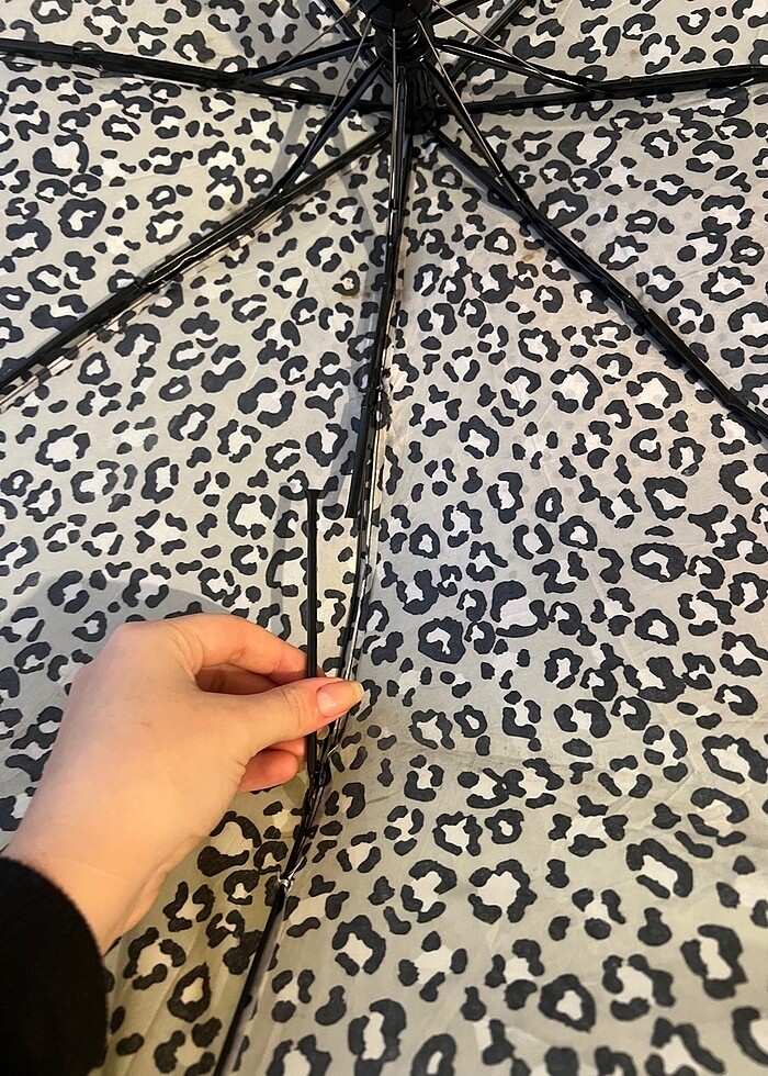 şemsiye - Görsel 3