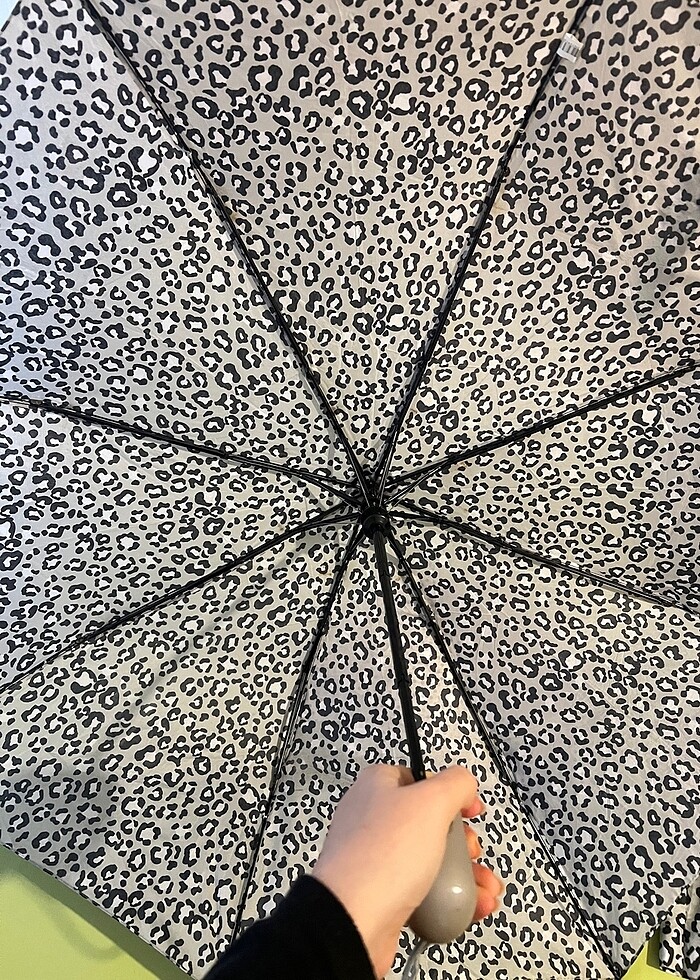 şemsiye - Görsel 2