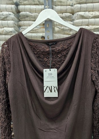 Zara Dantelli Degale Yaka Kahverengi Uzun Kollu Kadın Bluz - Görsel 3