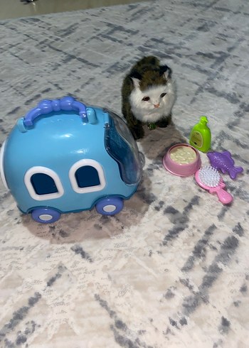 Mavi Pastel Kedi Aksesuar Seti - Görsel 2