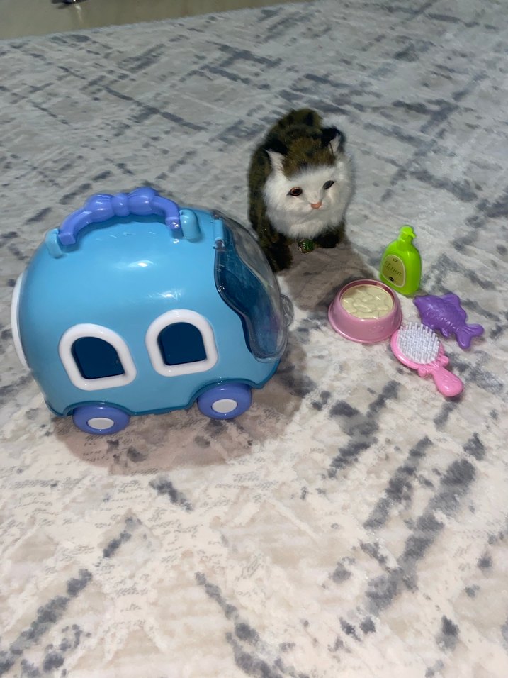 Mavi Pastel Kedi Aksesuar Seti - Görsel 2