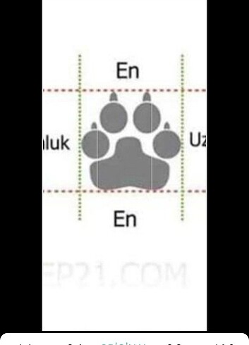 Beden Köpek kıyafeti #ayakkabı #kedi #köpek #petshop #kedikiyafeti #ca