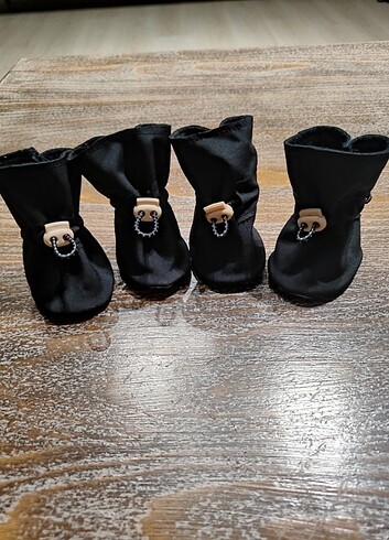 Köpek ayakkabı tabanı görselde