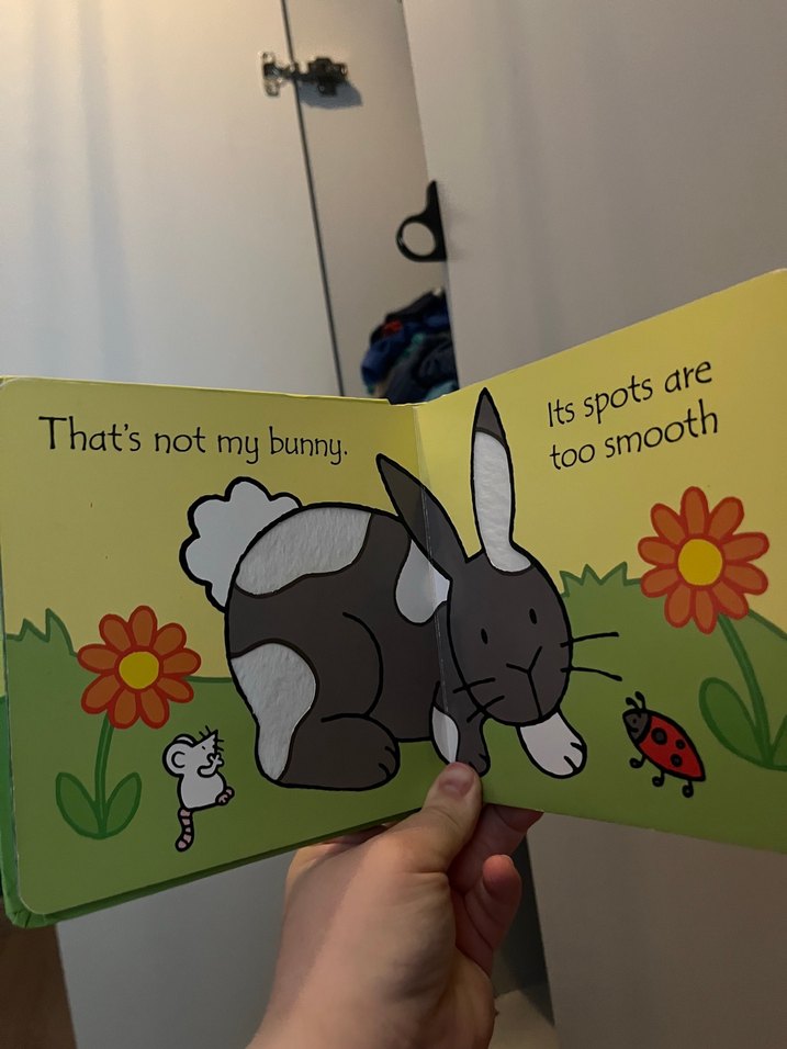 Usborne Dokunsal 'That's Not My Bunny' Çocuk Kitabı - Görsel 2