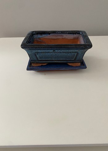 Bonsai saksısı