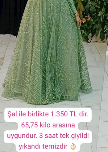 Yeşil İşlemeli Uzun Abiye Elbise - Görsel 2