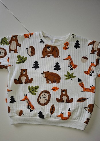 5 Yaş Beden Erkek Çocuk Uzun Kollu Sweatshirt