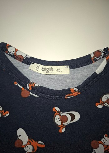 4 Yaş Beden mavi Renk Erkek Çocuk Mavi Baskılı Pijama Takımı