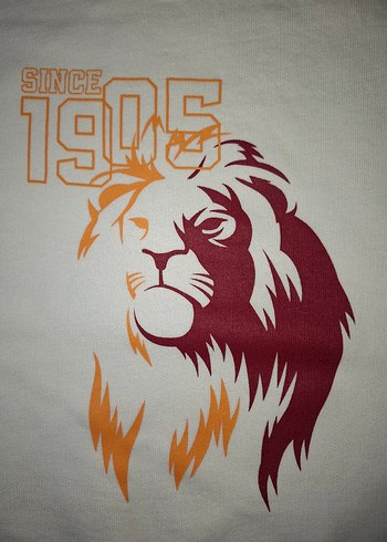 gs store sweatshirt - Görsel 2