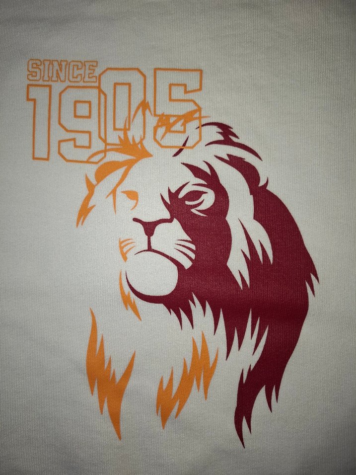 gs store sweatshirt - Görsel 2