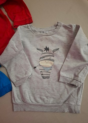 HelloBaby Erkek Çocuk Uzun Kollu Baskılı Sweatshirt