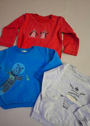 Erkek Çocuk Uzun Kollu Baskılı Sweatshirt
