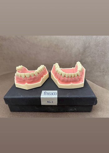 Frasaco AG-3 Diş Modeli Seti
