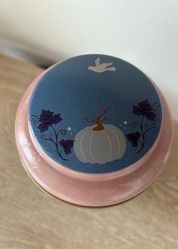 Pastel Renkli Sindirella Desenli saklama Kutusu - Görsel 3