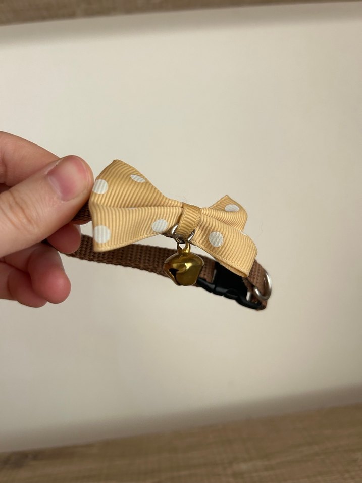 Kahverengi Kedi/ köpek Tasması Boyunluğu Fiyonk ve Zil - Görsel 4