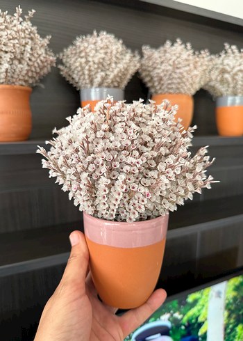 Kuru Çiçek+Çömlek Vazo