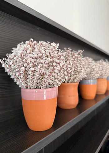 Ikea Kuru Çiçek+Çömlek Vazo