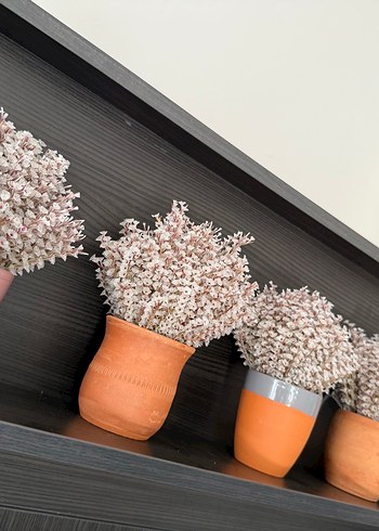  Beden pembe Renk Kuru Çiçek+Çömlek Vazo