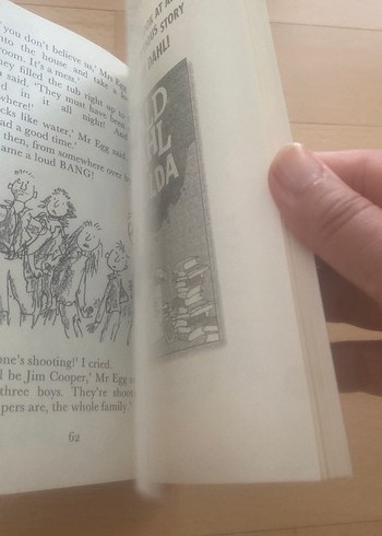 Roald Dahl - The Magic Finger - Görsel 7