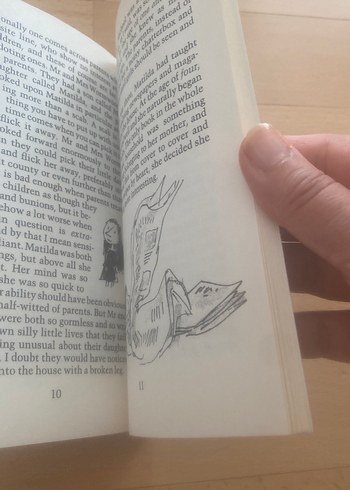 Roald Dahl - The Magic Finger - Görsel 8