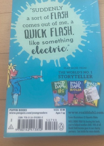 Roald Dahl - The Magic Finger - Görsel 9