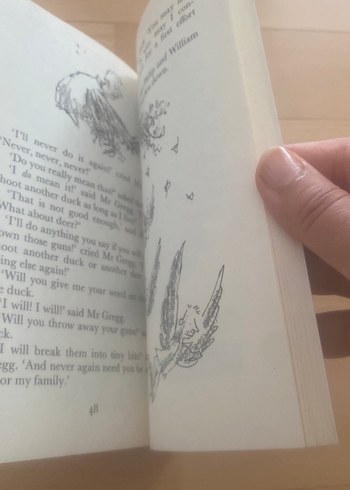 Roald Dahl - The Magic Finger - Görsel 5