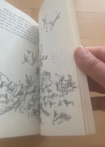 Roald Dahl - The Magic Finger - Görsel 6