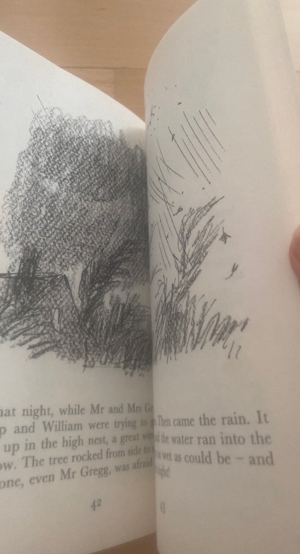 Roald Dahl - The Magic Finger - Görsel 4