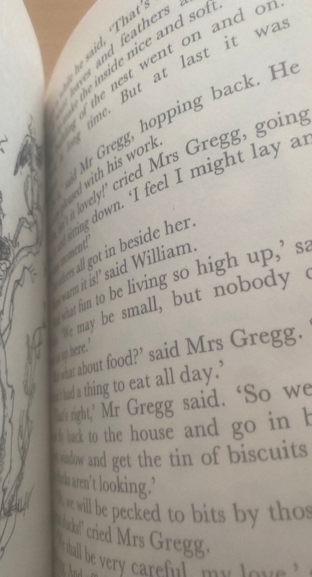 Roald Dahl - The Magic Finger - Görsel 3