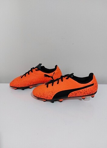 Puma truora 