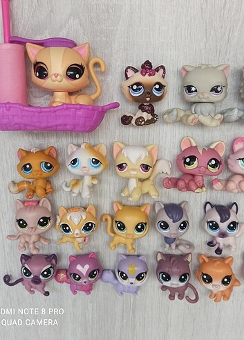 Beden Kedi minişler