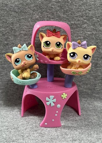  Üçüz kedi minişler