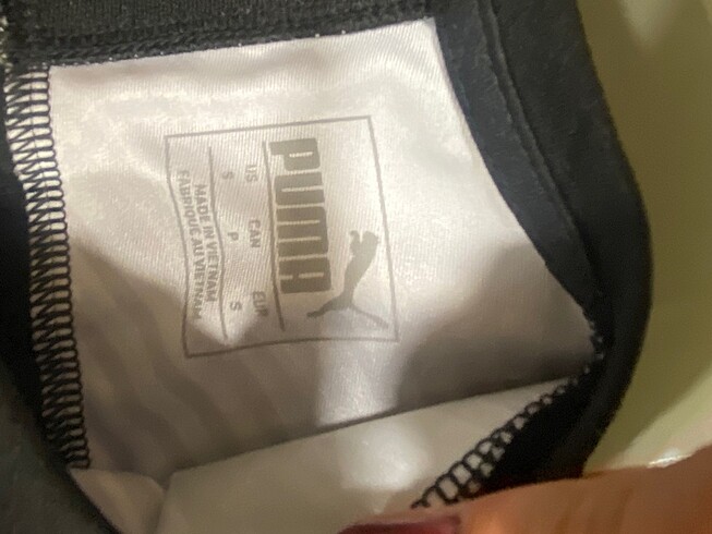 Puma Puma forma