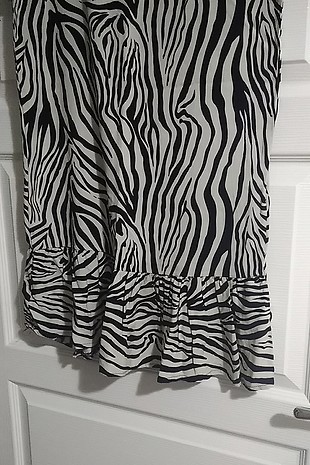 s Beden zebra desen elbiae