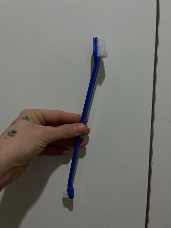 Çift Uçlu Yumuşak Kıllı köpek Diş Fırçası - Görsel 2