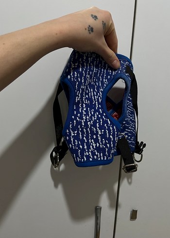 Köpek için renkli, baskılı kıyafet Velcro'lu - Görsel 3